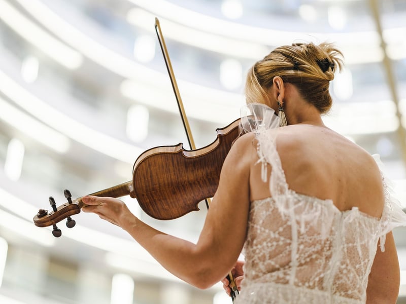 Enchanted Violinist